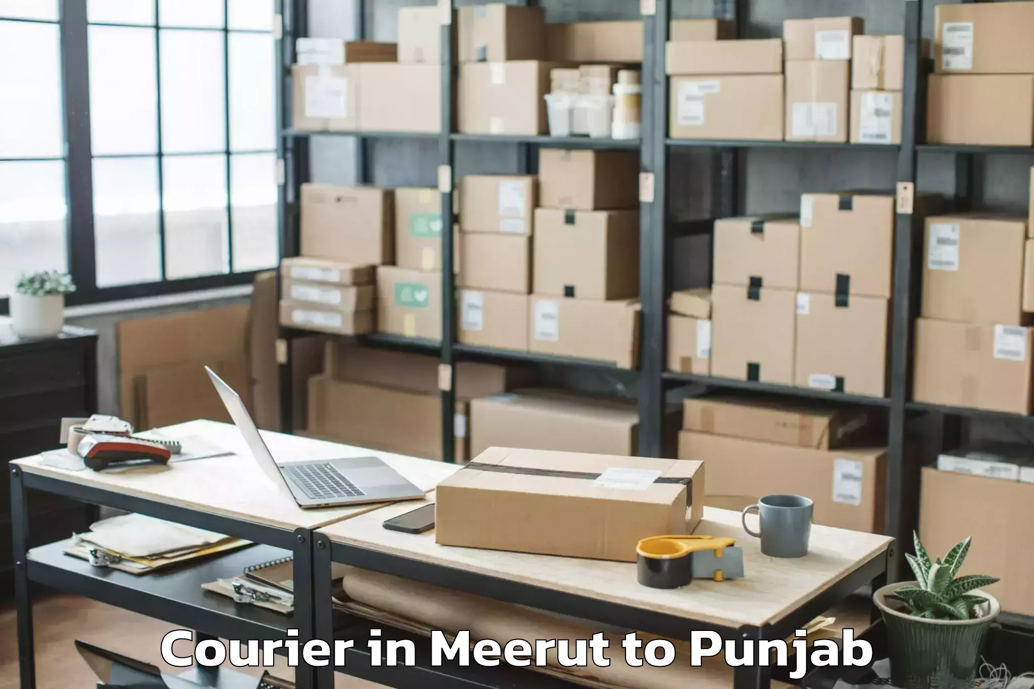 Book Meerut to Badhni Kalan Courier Online